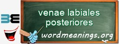 WordMeaning blackboard for venae labiales posteriores